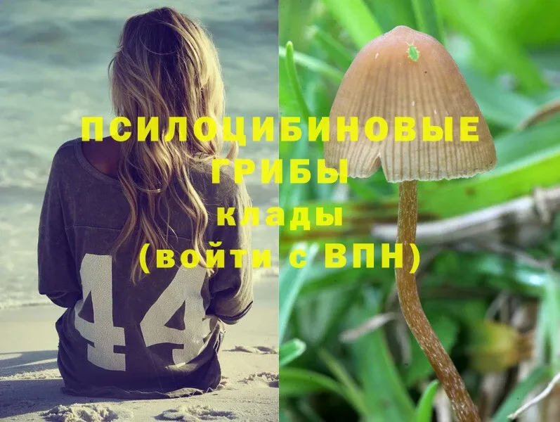 Галлюциногенные грибы Magic Shrooms  MEGA маркетплейс  Камышин 